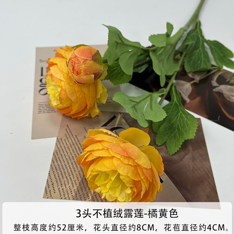 몰려드는 오렌지 없음