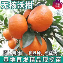 һ�����l �o���ָ�����ϱ����������Լ޽ӟo��ͥԺ���ٽ��ӹ���