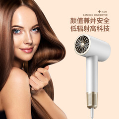 跨境高速電吹風機負離子理髮店髮廊家用恆溫大功率速干T形狀風筒