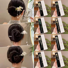 �l���߼���С���l�OŮ�R��ȹ����2026��h���Շ����Ʒ���l�P�l��