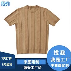 新款夏季男士复古纯色修身圆领竖条纹休闲百搭轻奢短袖针织衫
