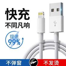 �m���O��6S-14pd��侀iPhone12/11/xrs/13/15/7/8usb�O��������