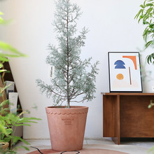 �������ˮ�໨�����޿͏d�����̖ͥԺ������ˇ���I�L�����ڏ�