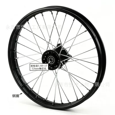 Off-Road Motorcycle Tire Rim Drum Core Hub 1.6x17inch Hub Core 1.9x14inch Steel Rim Hub (Hub) - 160-17-front-hub-12mm-shaft-hole