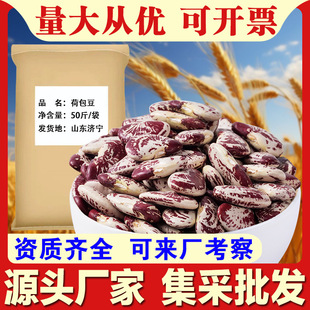 �ɰ���50��/���S�����l���y����Ԫ�����������Ҝ���͵���䁬F؛c