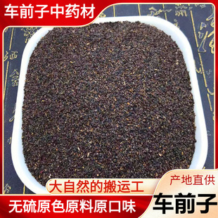 �Ĵ���؛�oѬȾ܇ǰ����ș��܇ǰ���Ѳ���܇ǰ�Ӛ�ԭ��܇ǰ�����l