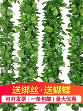 �����~�ٻ��ٗl����ֲ����~�G�~ˮ�ܵ�����b����ϾG�}�~�Ӳ���