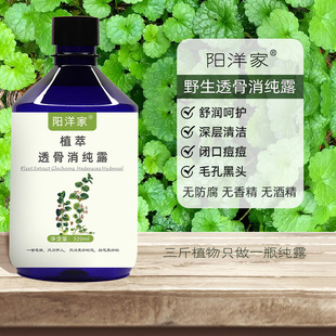 �坍���^���^͸������¶500ml�]�ڶ����۴̴������}Ƥˬ�wˮ