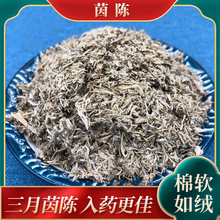 茵陈中药材500g包邮三月茵陈白蒿绒蒿猴子毛绵陈绵茵陈茶春茵陈