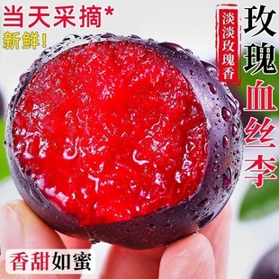 õ��Ѫ�z�����r����5������Fժ�t�����Ӻڲ��ּt����������