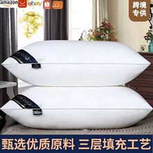 ��̿羳���lϣ���D���Ǽ��Ƶ���z�q���^���Z�q˯����о�W������