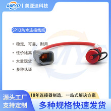 P68 防水 SP13 2 针电缆母插座转 DTM04 连接器 18AWG 电缆组件