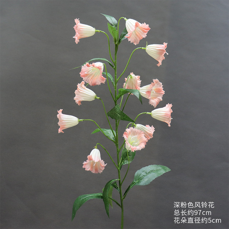 진한 분홍색 도라지 꽃 한 송이