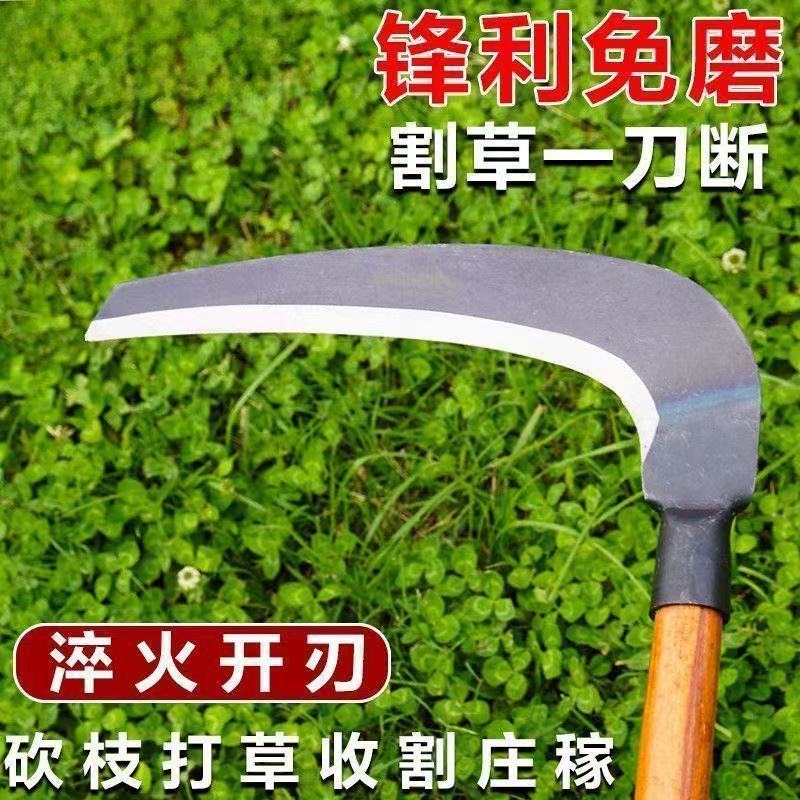 微信图片_20260222124925_102_28.jpg