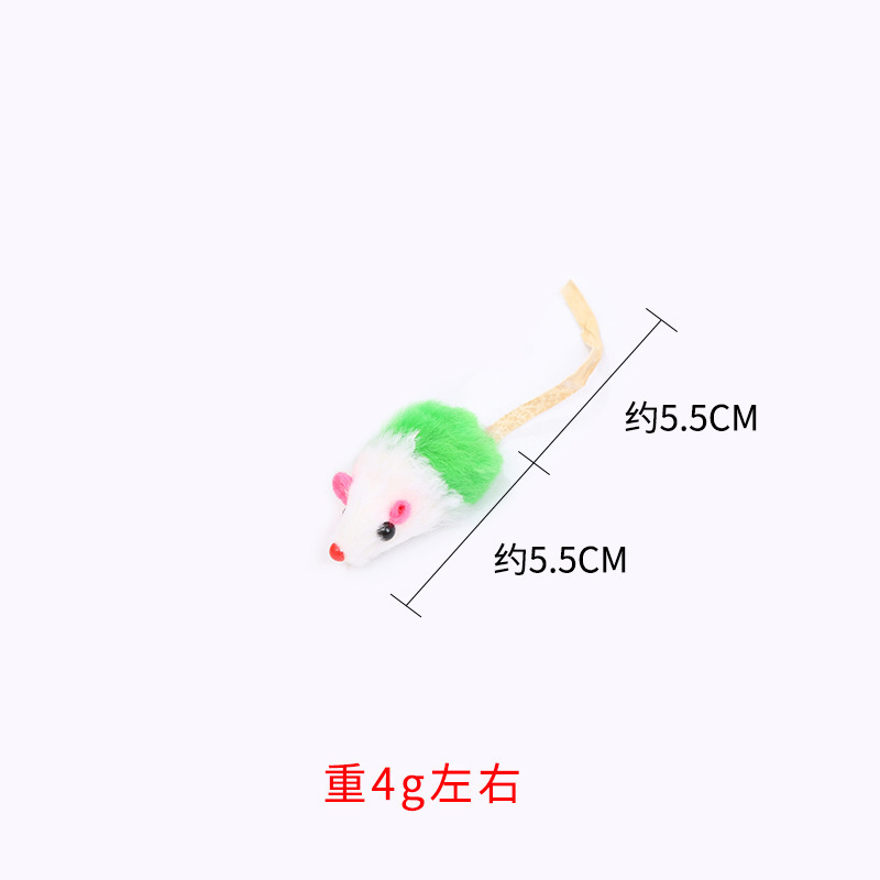 흰색 녹색