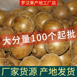 100 Pieces of Guangxi Guilin Yongfu Specialty Dried Monk Fruit Individually Packaged for Tea