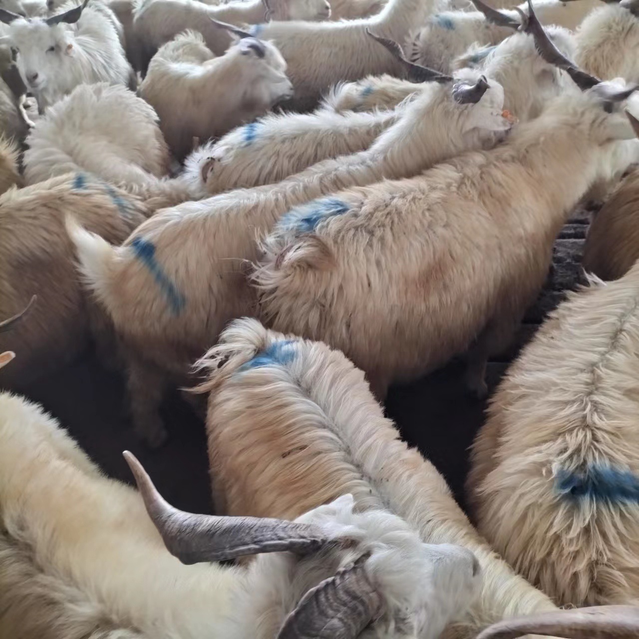 微信图片_20221018210639