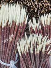 ½tt֦t⺞Ӽtľľ⴮⻬