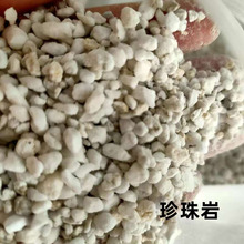 ���������҈@ˇ�Nֲ���V���ͻ���϶���ֲ��I�B���|�ñ��ز���