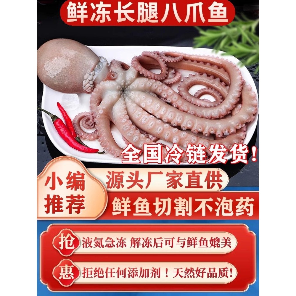 长腿八爪鱼新鲜活大章鱼冷冻海鲜水产生鲜整只网红大爆头商用