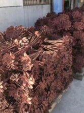 �@ˇ��Ʒ���Ҵ��������Ĥ���������h���L���^�ؘ����