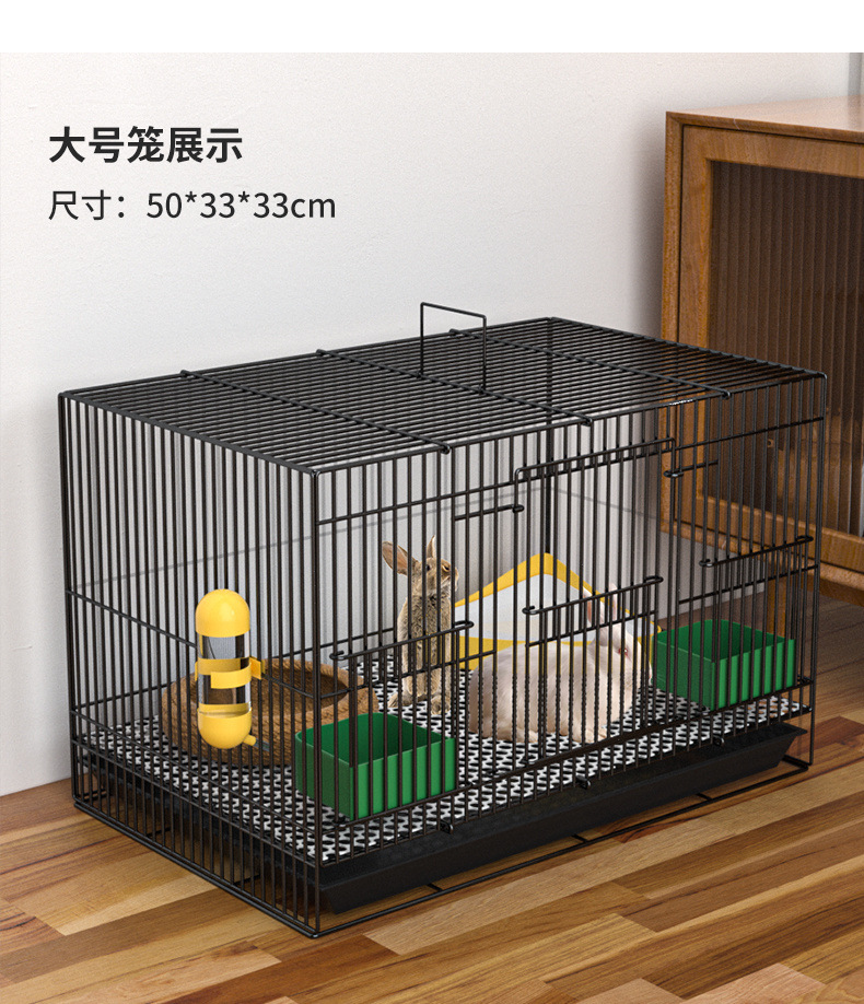 04ad70bd-096e-4ed3-a79f-bf8b28427e66.jpe