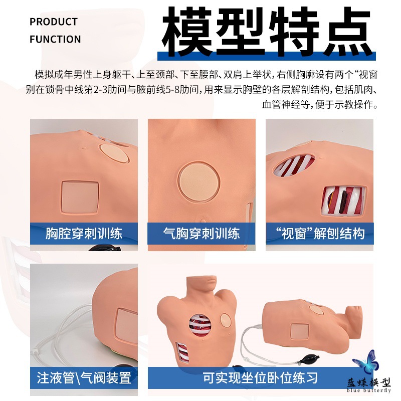 ��ǻ��ʽ����ģ�� ��ǻ����ѵ��ģ�� ��ǻ���˺�������������ģ��