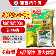 禾益沃青 50%王铜柑橘树黄瓜细菌性角斑病农药保护性杀菌剂农药