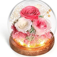 球形玻璃罩永生花成品玫瑰向日葵康乃馨情人节母亲节礼物