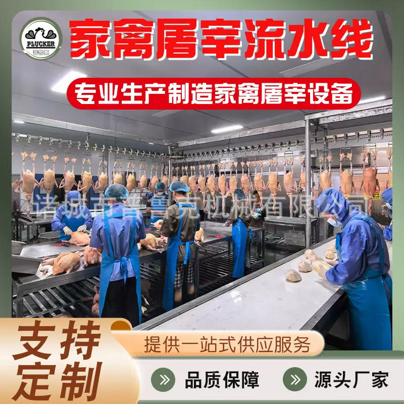 全自动杀鸡流水线 家禽屠宰设备 小型中型屠宰场适用脱毛杀鸡设备