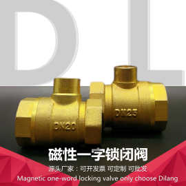 磁性锁闭阀一字阀门DN20自来水供暖热力带钥匙磁性防盗锁闭铜制
