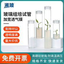 �沣�����M��ԇ�ܸ������|�͸ߜ؎�͸���w�M��ƿ���Nƿ