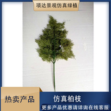 �����֦�ɰ؂Ȱ��°ع��̾G���쾰�Q�~��̨�Ĕz���߿͏d��ˇ�[��