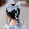 Children's ponytail, hair accessory with bow, hair mesh, hairgrip, small princess costume, headband
