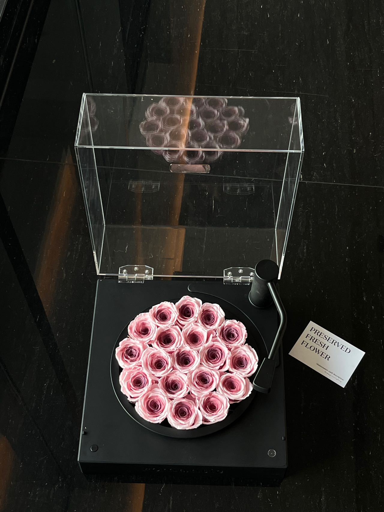 포노그래프-분말 매화