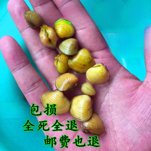 ��͘С�Ӱ�Ϫ͘���w��ˮ��ˮԭ��С��ˮ������^�p�Ӱ���ֱ�N