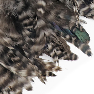 ���J���uë6-8Ӣ���J��Ӿë�^������L���؈����ë������