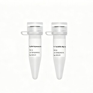 �п����Q  ��ҎPCR  ��ҎTaq DNA�ۺ�øϵ��