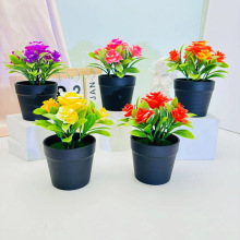 5��õ�廨�����辰����ͥԺ�b��滨���Ի�Y���粼�þGֲ�[��