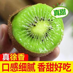 ����G������J�������r�殐������������ˮ���Ǽt���S�������