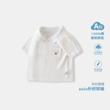 2026��ͯ��֯POLO����ͯ��װ�¿����䱦�������׷��Ứ���³�
