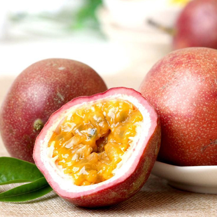 ����������������㾫���������㾫��ֲ���㾫�������㾫