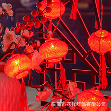 LEDС���\���������^���޾����t���\�ʟ��������괺���b�����l