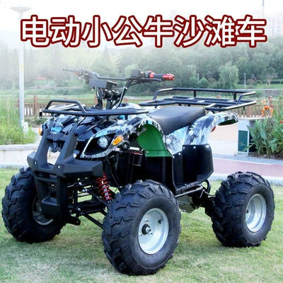 Source Manufacturer Electric Quad Bike Four-Wheel Beach Vehicle Adult All-Terrain Atv Mountain Bike Off-Road Motorcycle