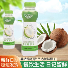 进口泰泰可可优香水椰子水夏天清爽解渴饮品饮料批发日期新鲜饮料