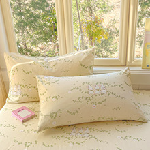 ��ͨ��������һ���b2026�������Æ���ȫ�����^��48x74��ͨ��о��