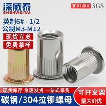 ���P�Ӣ��ƽ�^���T��ĸ�Q�y���T��ñ8#-32 10#-24 1/4 5/16 3/8