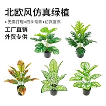 ����ֲ�������~ �ҾӾƵꙻ���쾰���b�12�洺���~�b��߷���