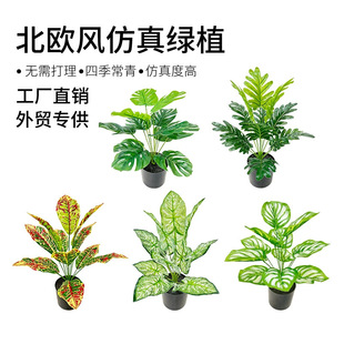 ����ֲ�������~ �ҾӾƵꙻ���쾰���b�12�洺���~�b��߷���