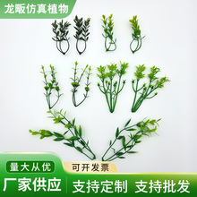 ������Ӳ� ��ƺ�ذ���辰С���b����Ϸ���ֲ������S�����l